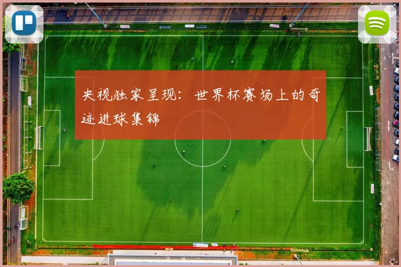 央视独家呈现:世界杯赛场上的奇迹进球集锦