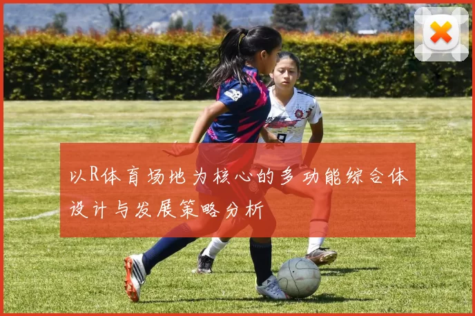 以R体育场地为核心的多功能综合体设计与发展策略分析