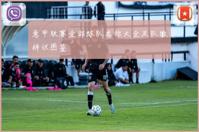 意甲联赛全部球队名称大全及队徽辨识图鉴