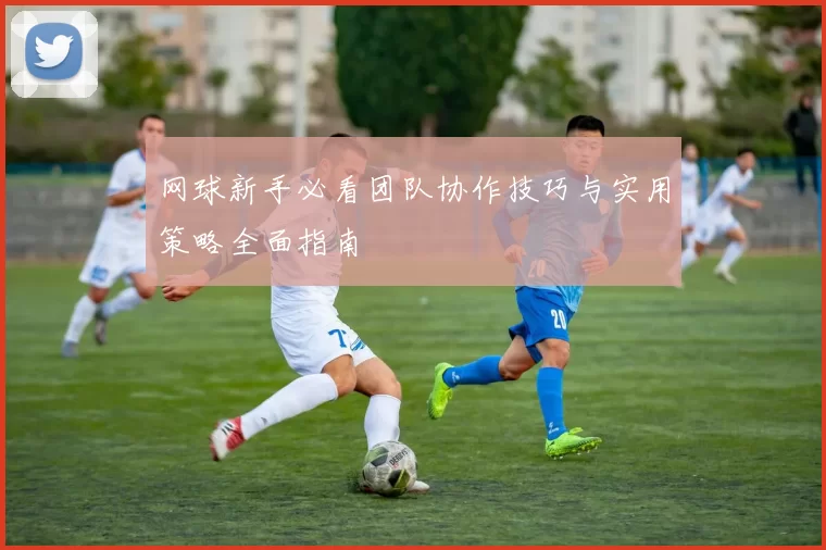 网球新手必看团队协作技巧与实用策略全面指南