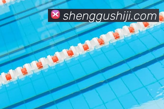 球盟会平台生态图